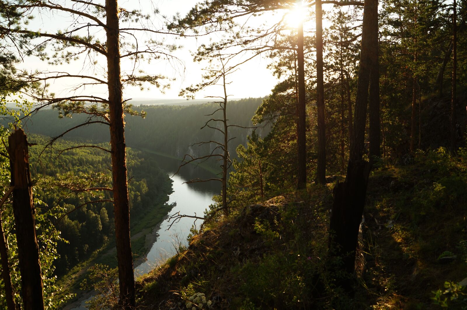 Sony SLT-A57 sample photo. River, forests, trees photography