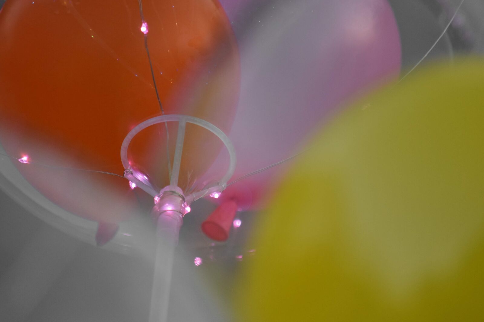 Nikon D5500 sample photo. Decorative, light bulb, balloon photography