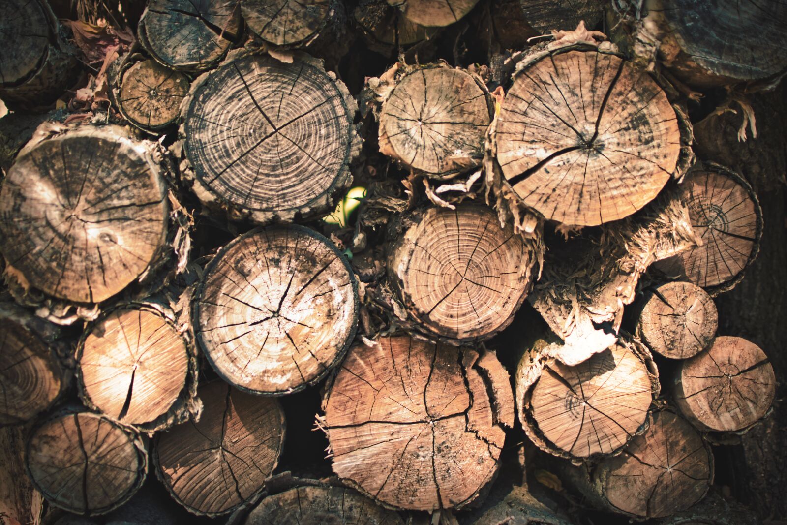 Nikon D5300 sample photo. Holzstapel, natural product, wood photography