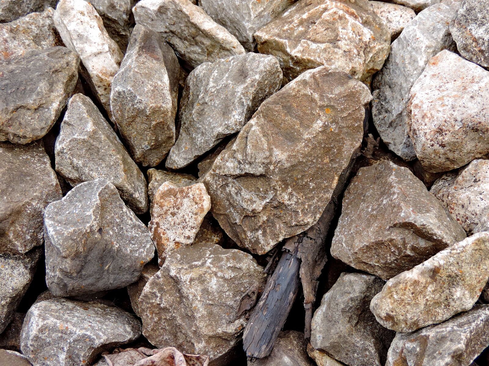 Nikon Coolpix P520 sample photo. Geology, granite, rock, stone photography