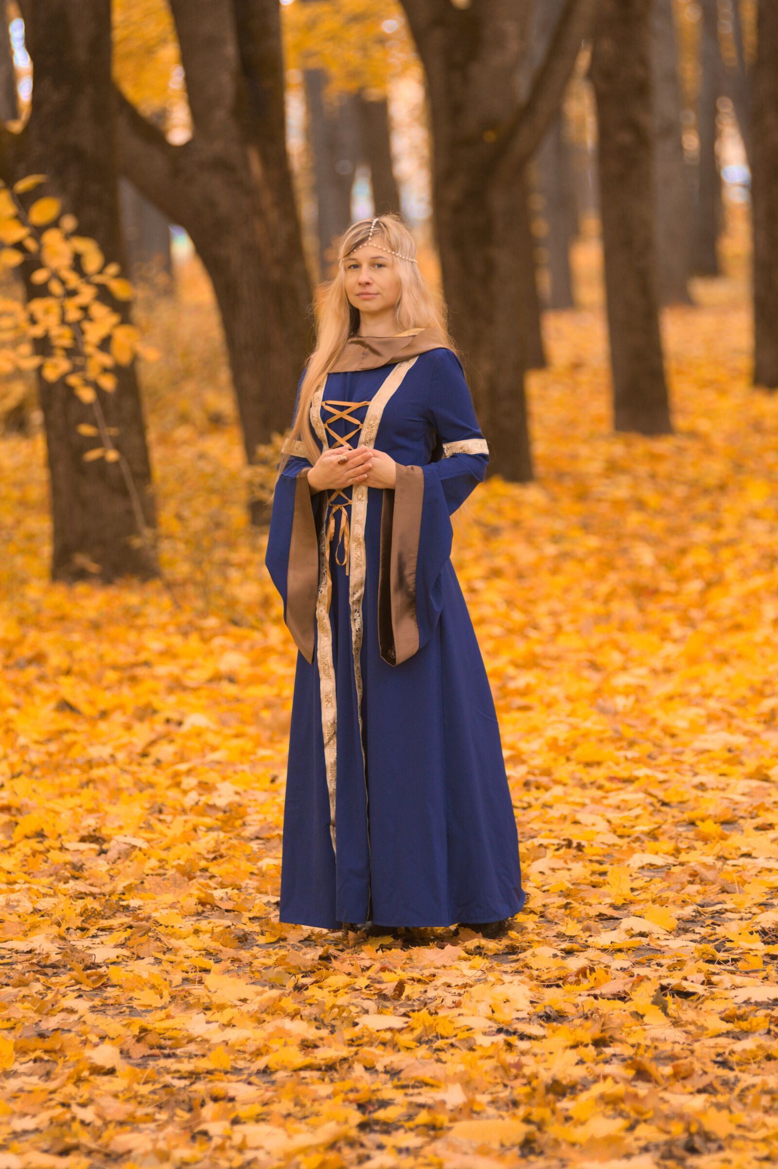 Nikon D7100 sample photo. The middle ages, autumn photography