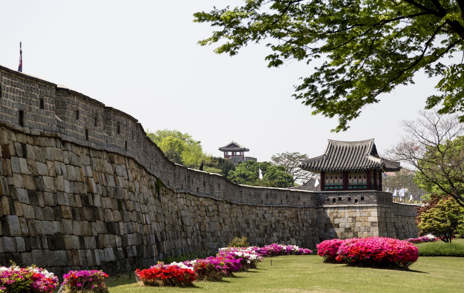 Canon EOS 6D + Canon EF 24-105mm F4L IS USM sample photo. A heart-madonna, korea, republic photography