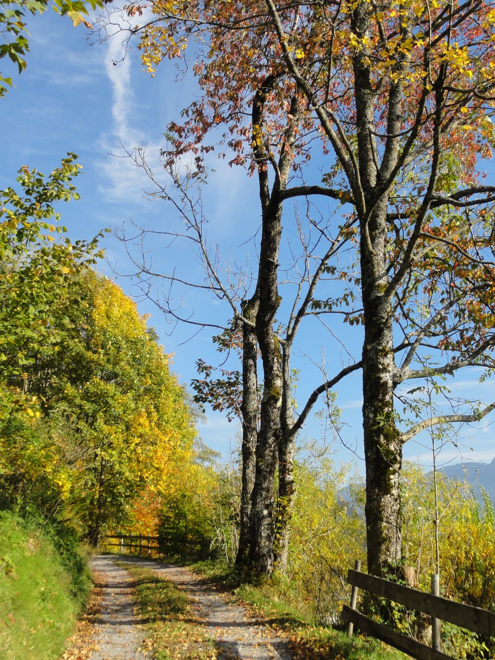 Sony DSC-HX5V sample photo. Autumn, landscape, away photography