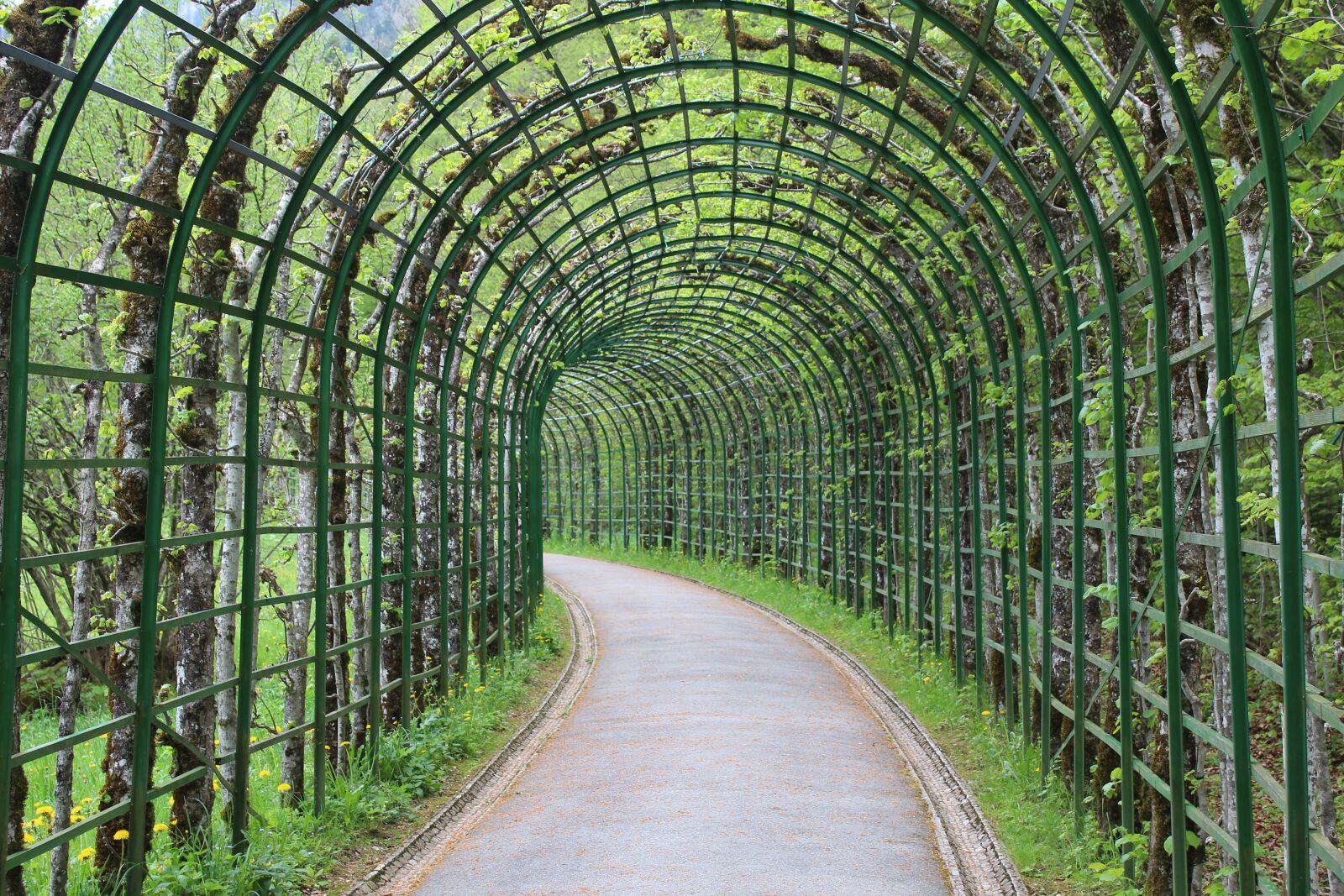 Canon EOS 1300D (EOS Rebel T6 / EOS Kiss X80) sample photo. Linderhof palace, bavaria, germany photography