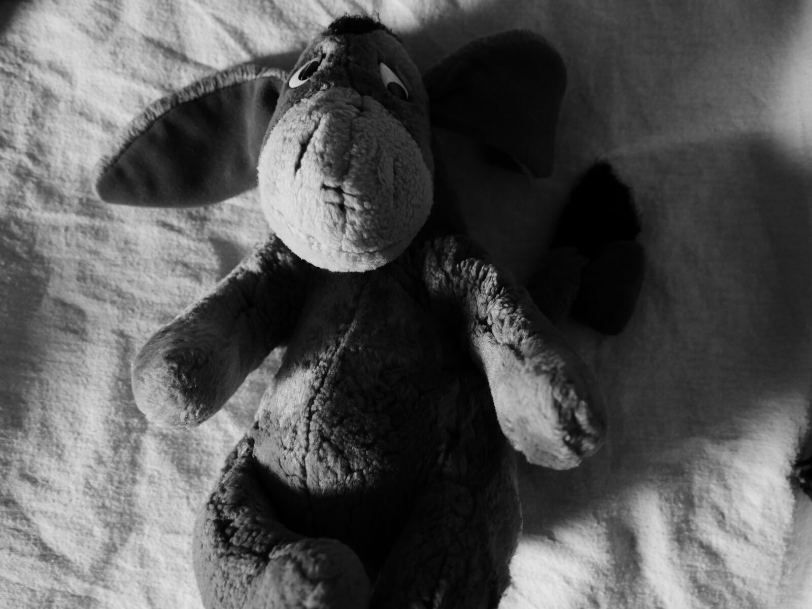 Panasonic Lumix DMC-G7 sample photo. Eeyore, black, white photography