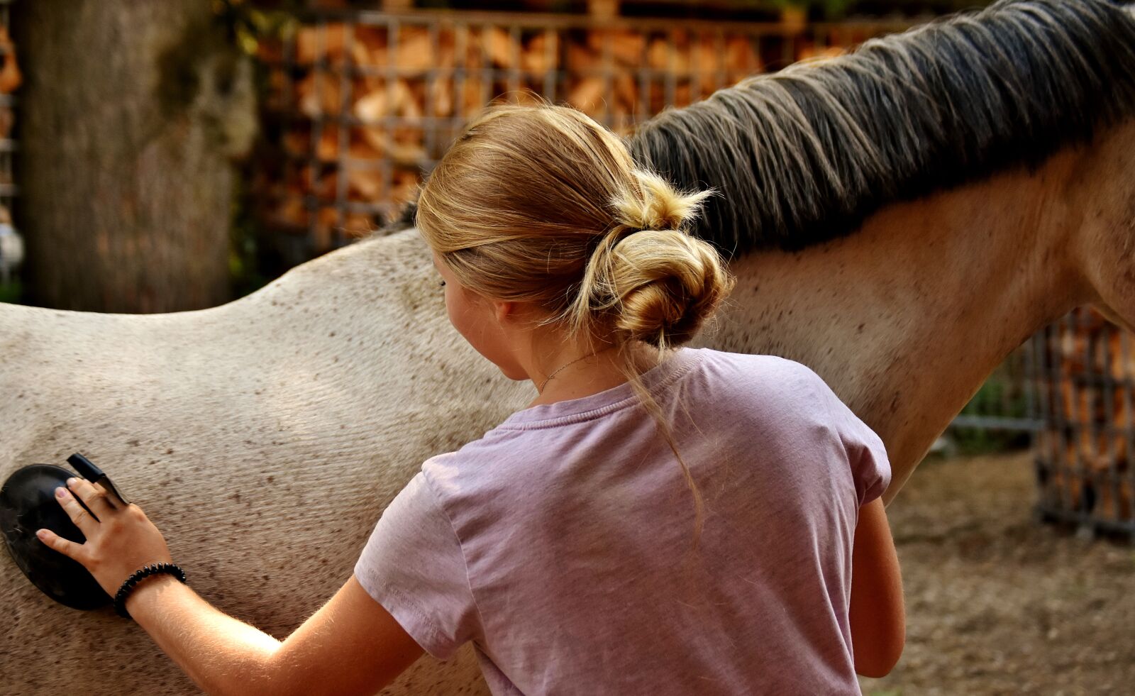 Nikon D7200 sample photo. Horse, clean, brush photography