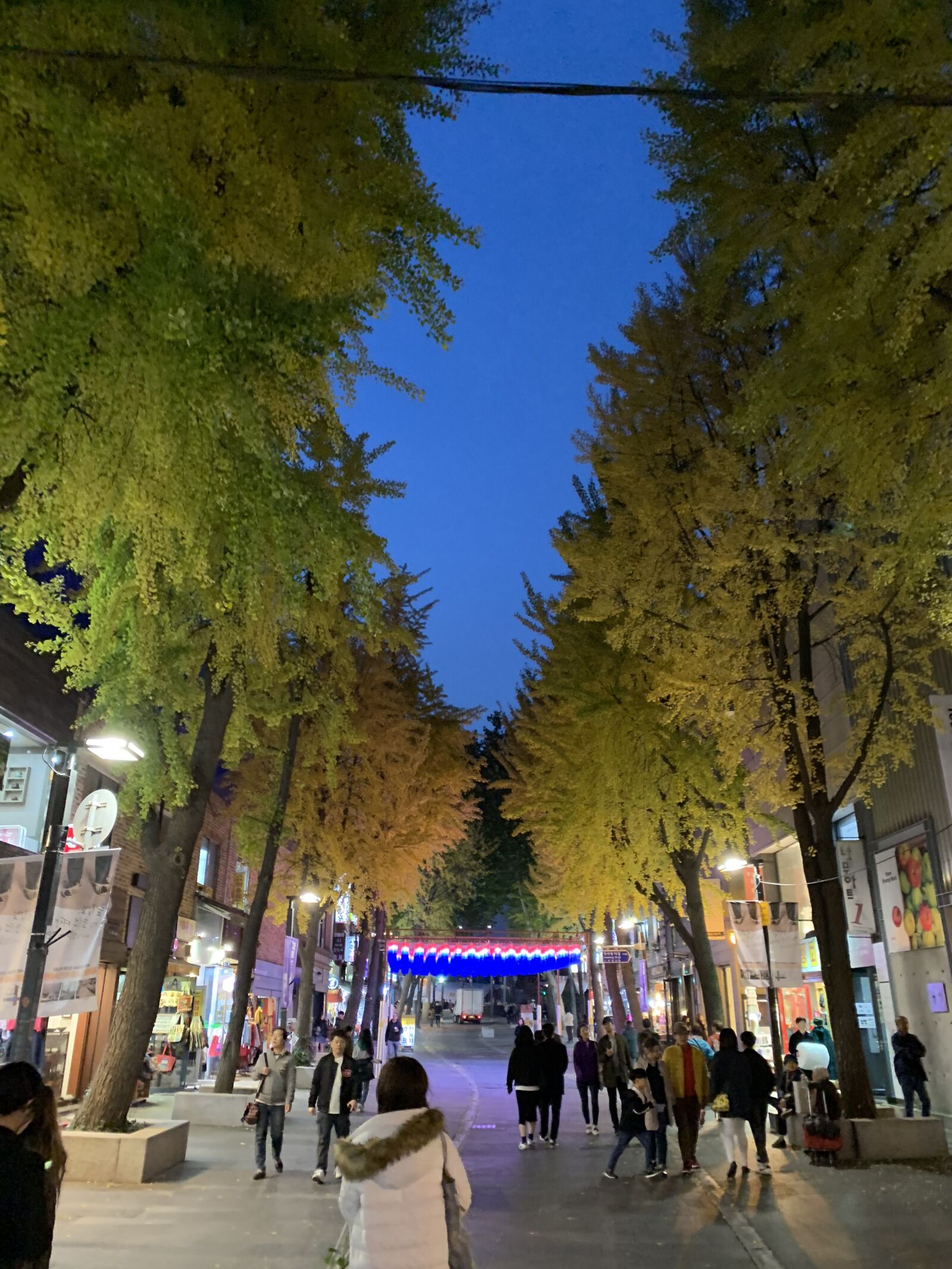 iPhone XS back dual camera 4.25mm f/1.8 sample photo. Seoul traditional streets, seoul photography