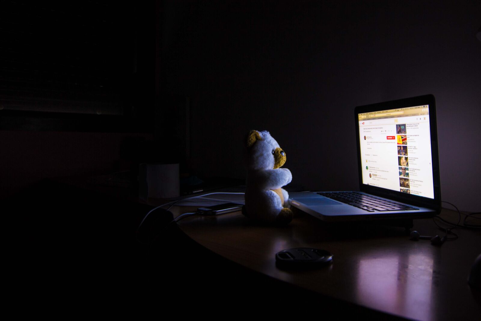 Canon EOS 60D sample photo. Bear, computer, night photography