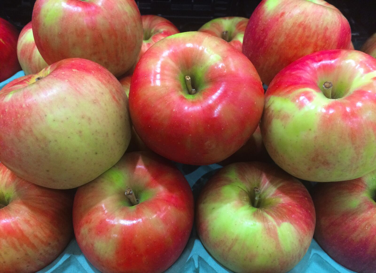 iPhone 5s back camera 4.15mm f/2.2 sample photo. Apple, fruit, red photography