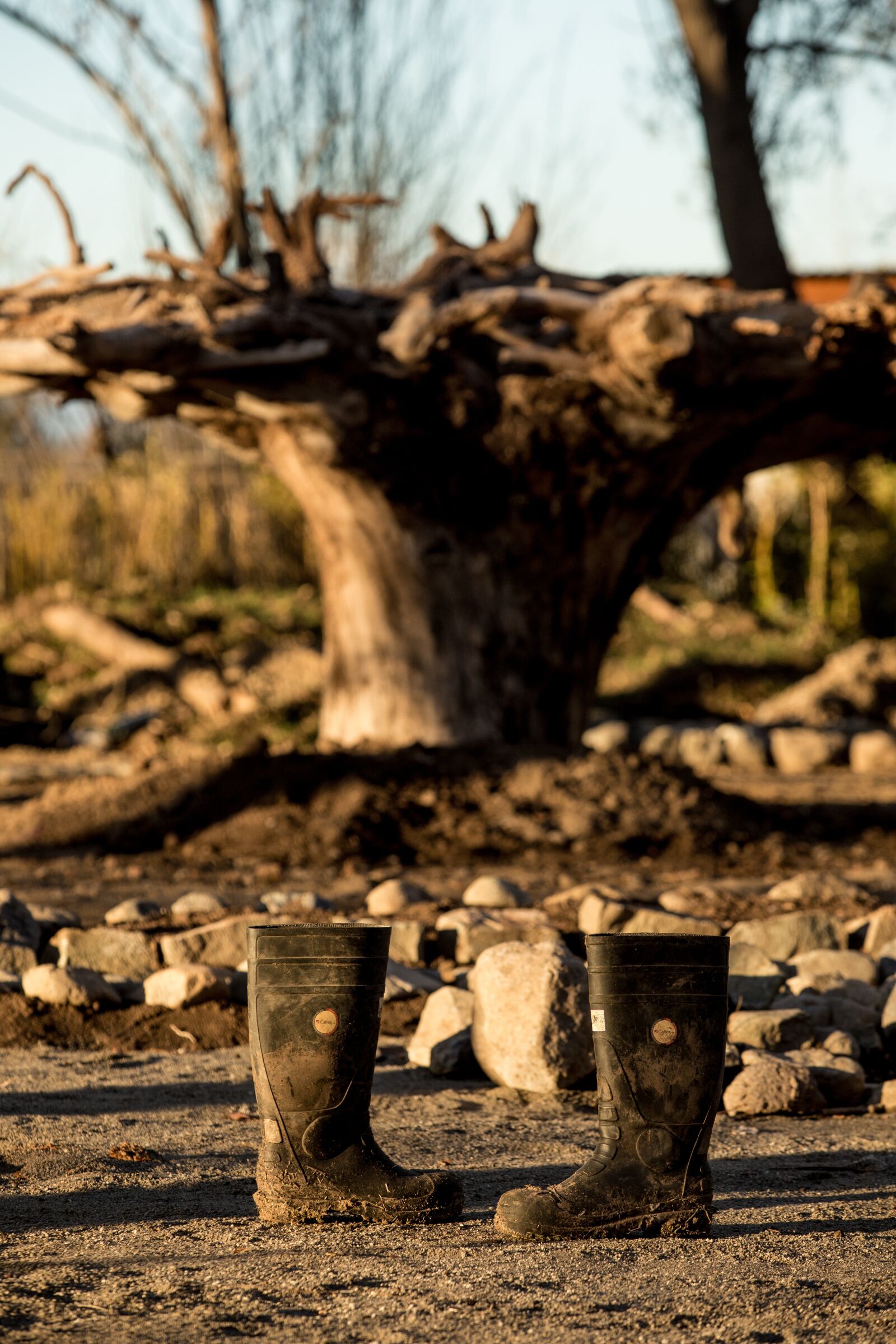 Canon EF 70-200mm F2.8L USM sample photo. Boots, tree, trunk photography