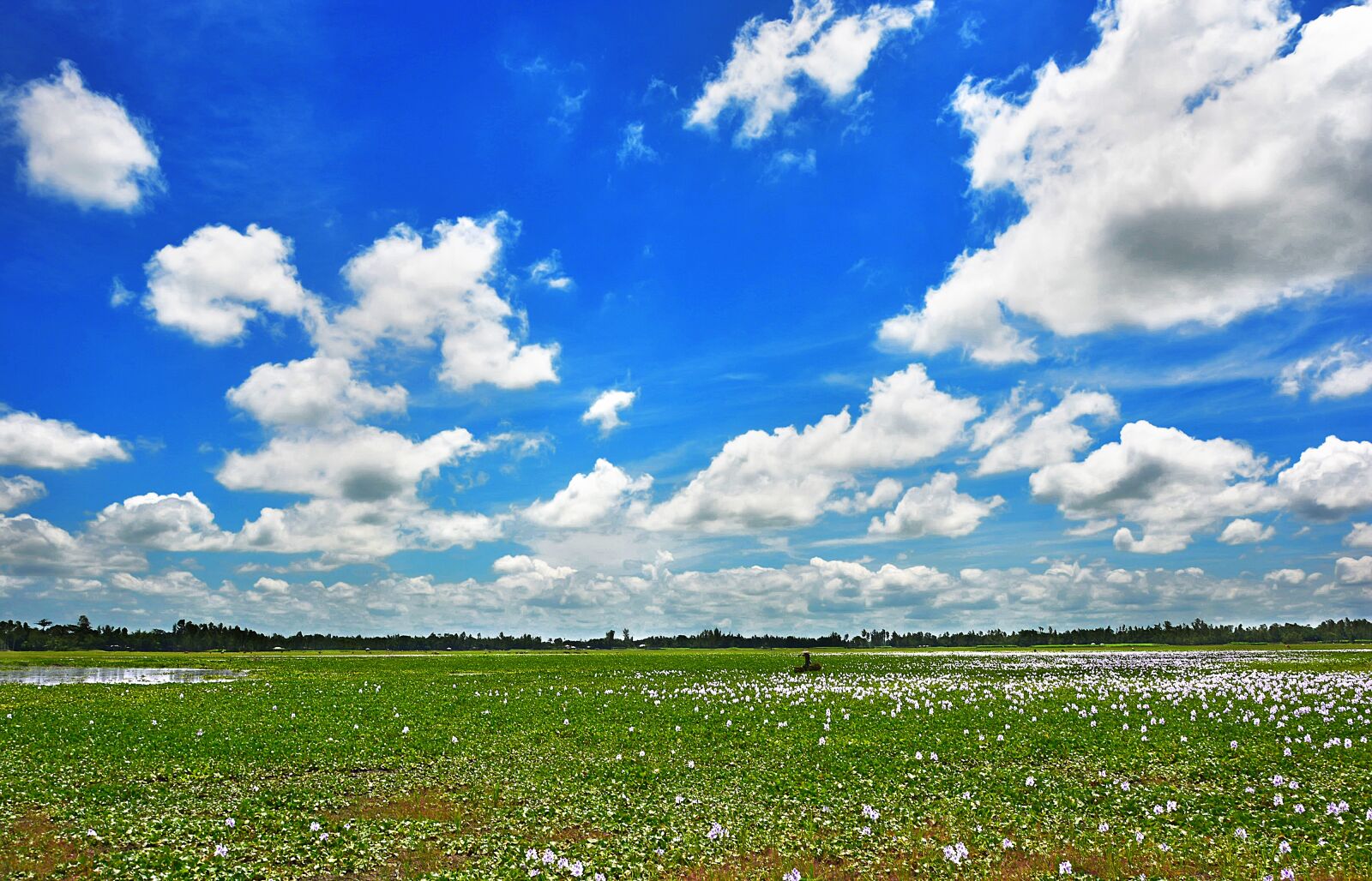 Nikon D5200 sample photo. Sky, blue, clouds photography