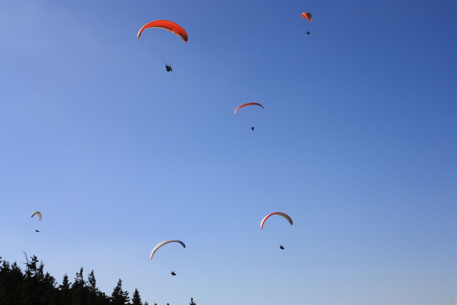 Canon EOS 450D (EOS Rebel XSi / EOS Kiss X2) sample photo. Parachute, sky, the earth's photography