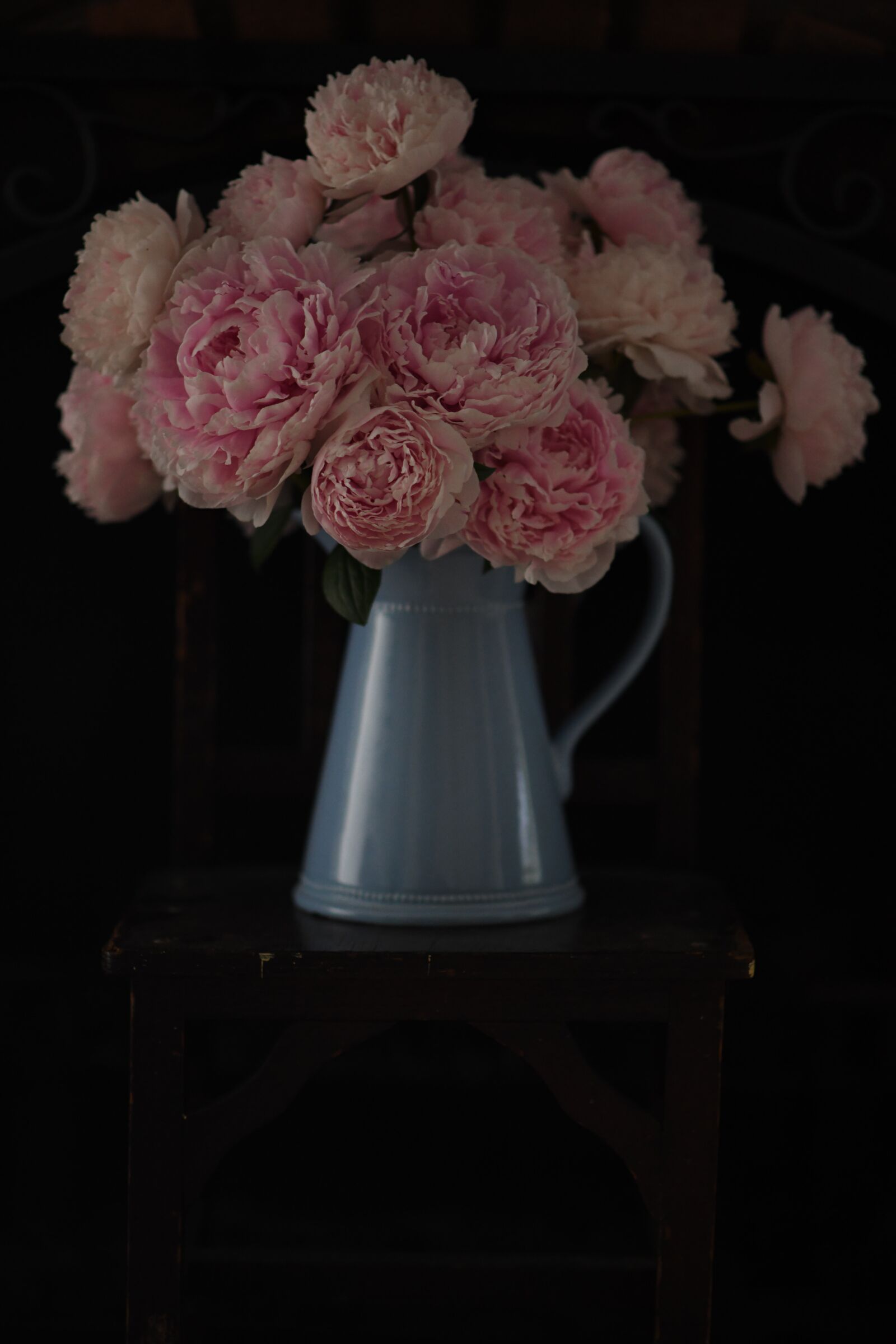 Nikon D850 sample photo. Peony, pink, flower photography