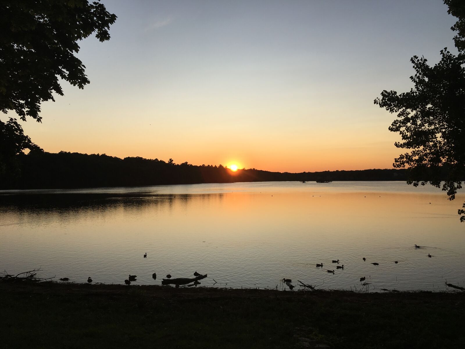 Apple iPhone 6s sample photo. Sunset, summer, lake photography