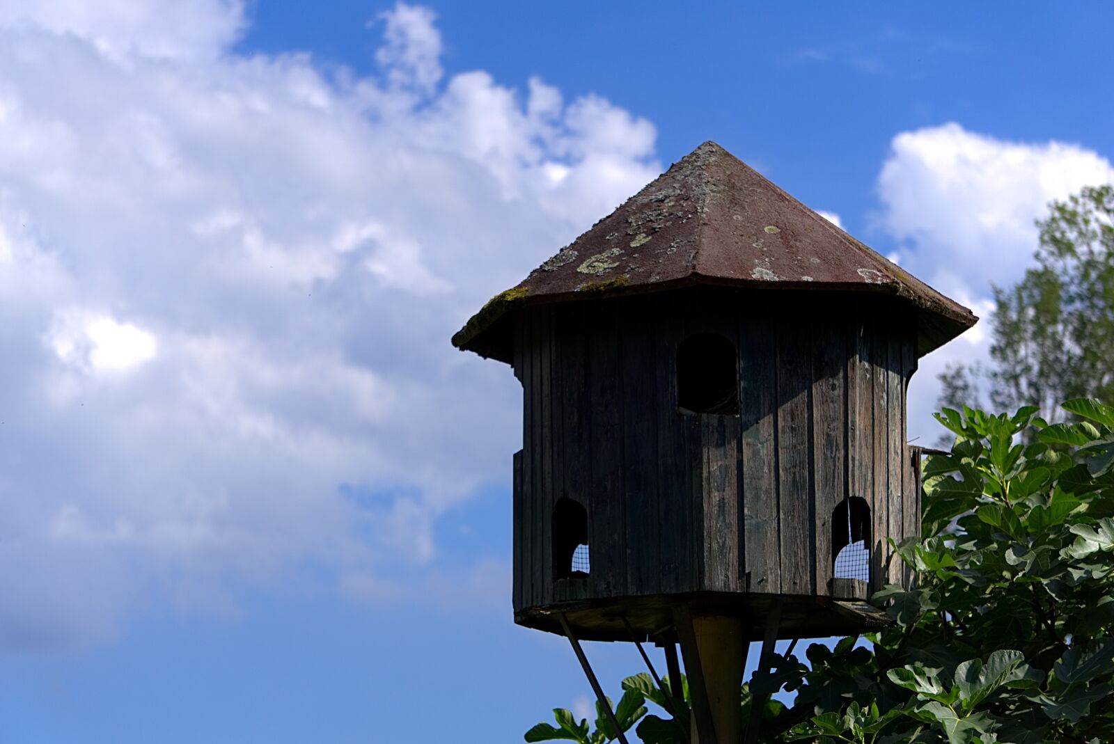 Sony E 55-210mm F4.5-6.3 OSS sample photo. Aviary, pigeon house, sky photography