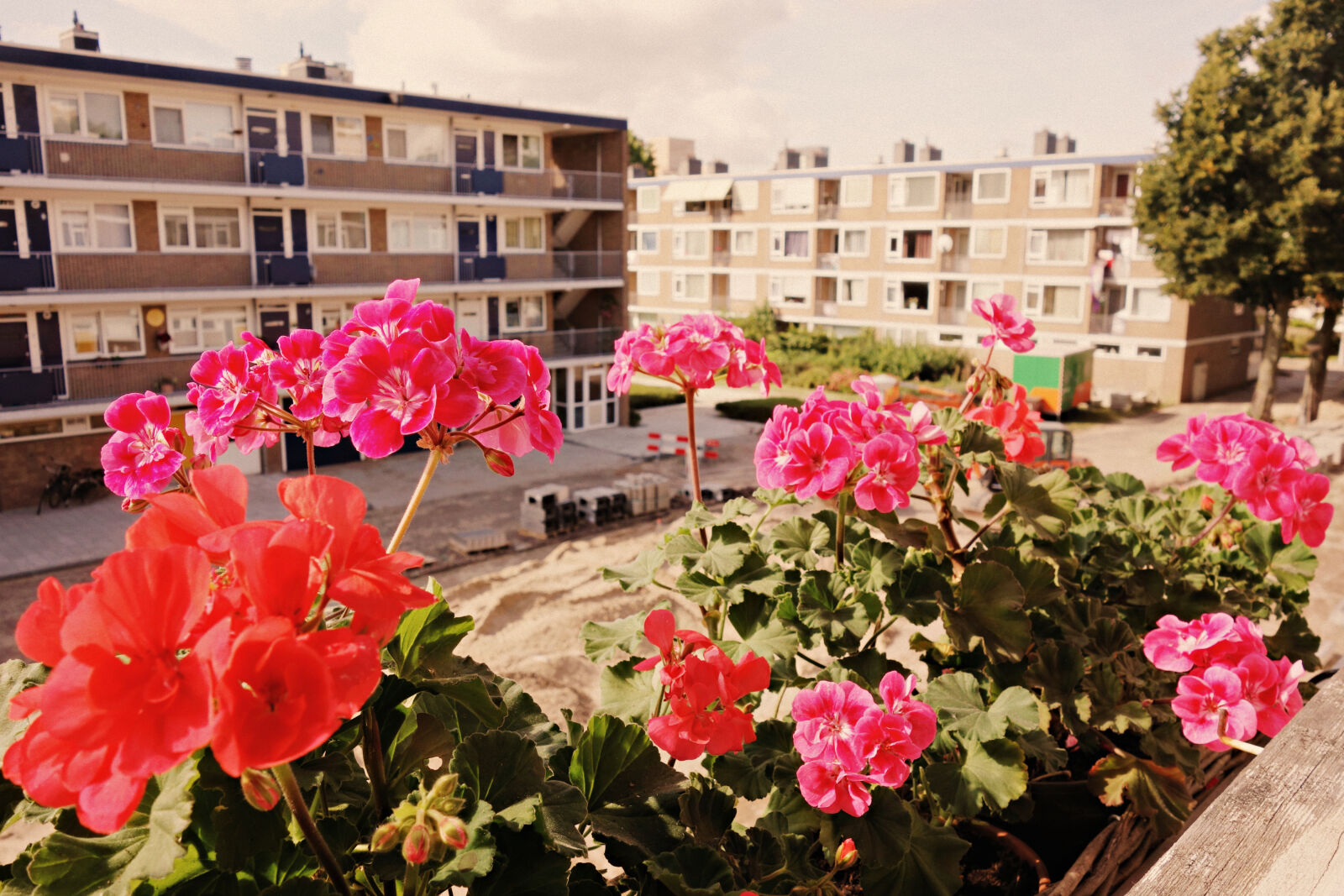 Sony Cyber-shot DSC-RX100 sample photo. Block, flowers, geranium, sill photography