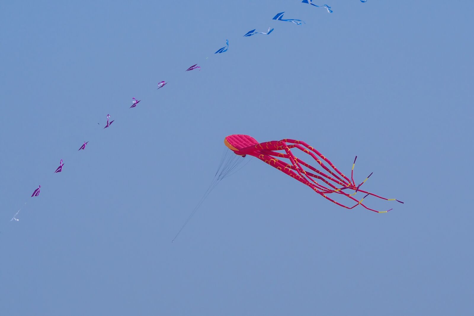 Olympus OM-D E-M10 sample photo. Dragons, leisure, flying photography