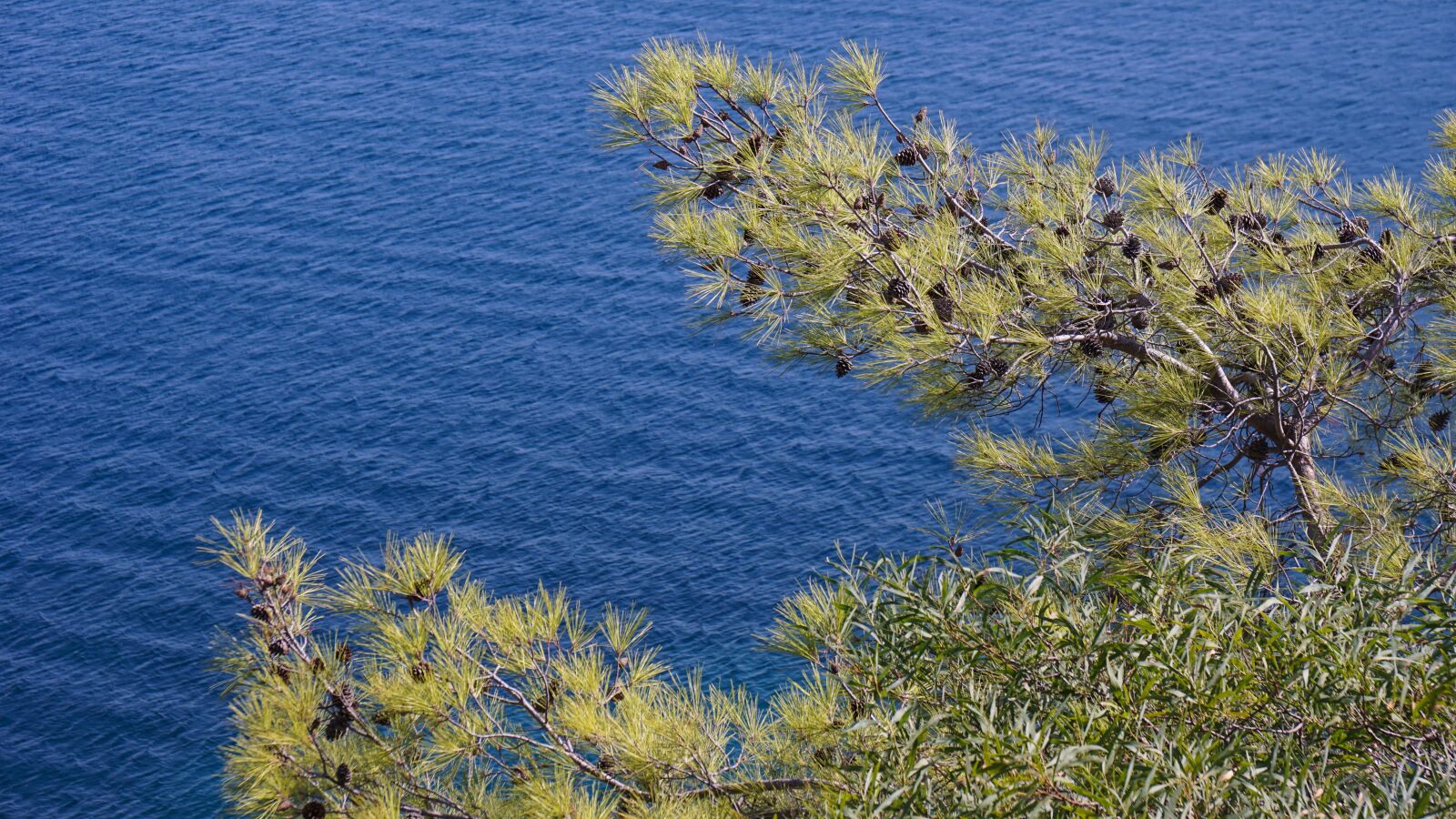 Sony a6000 + Sony Vario-Tessar T* E 16-70mm F4 ZA OSS sample photo. Sea, blue, water photography