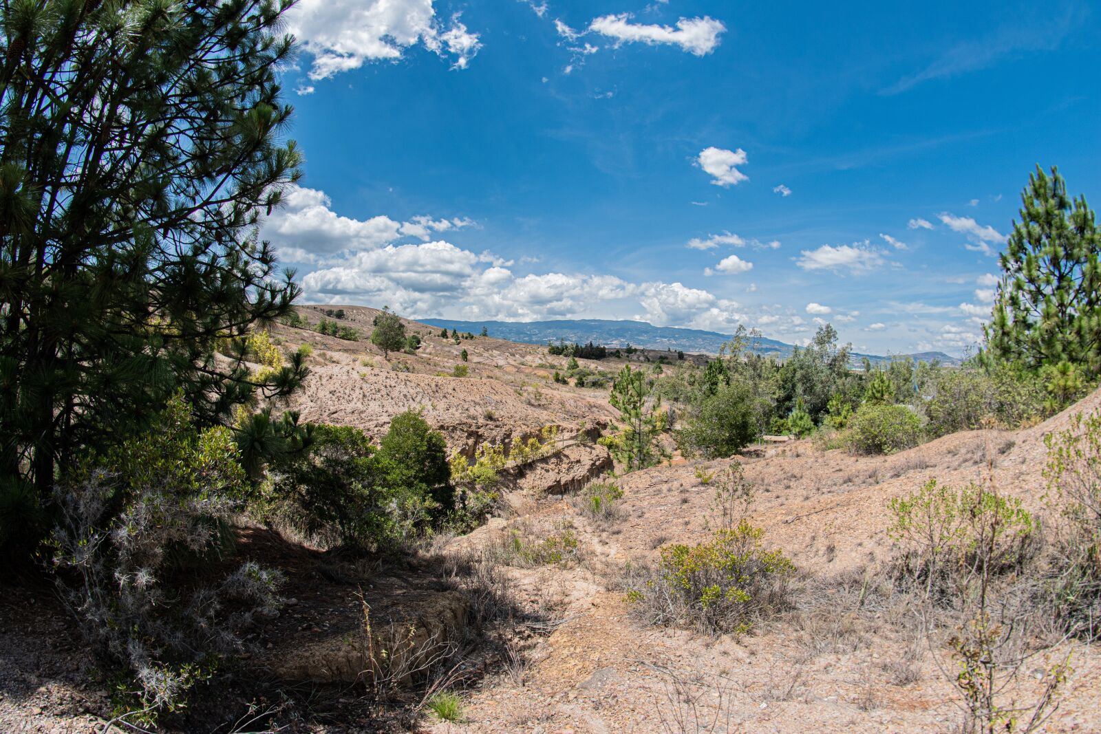 Nikon D5600 sample photo. Gondava, park, boyacá photography