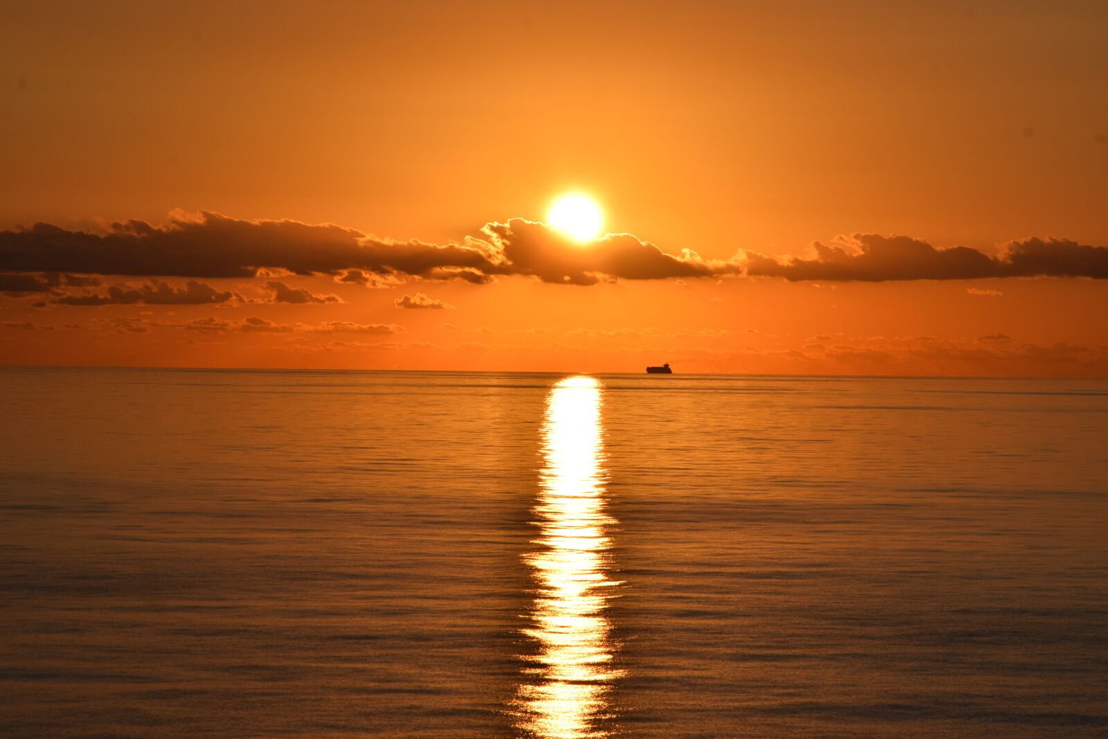 Nikon D3300 sample photo. Sunset, dawn, ship photography
