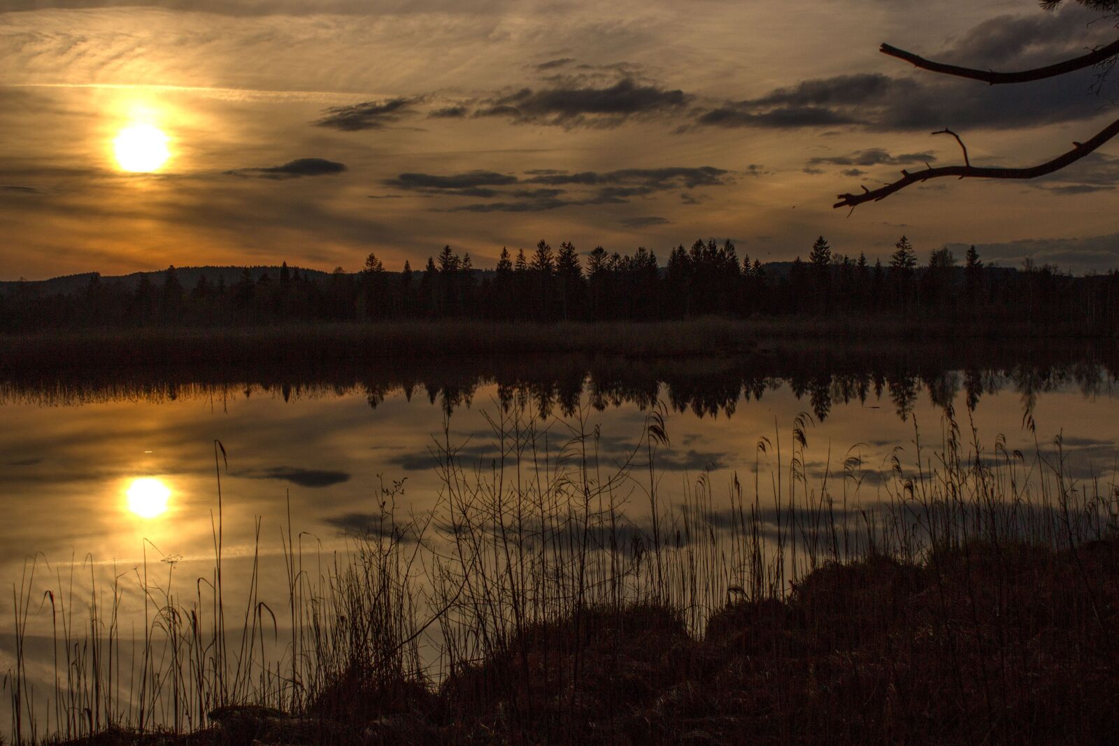 Canon EOS 600D (Rebel EOS T3i / EOS Kiss X5) sample photo. Moor, sunset, torfsee photography