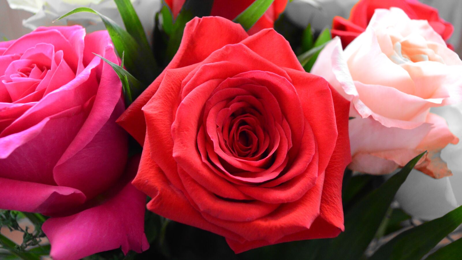 Nikon D5100 sample photo. Bouquet of roses, floral photography