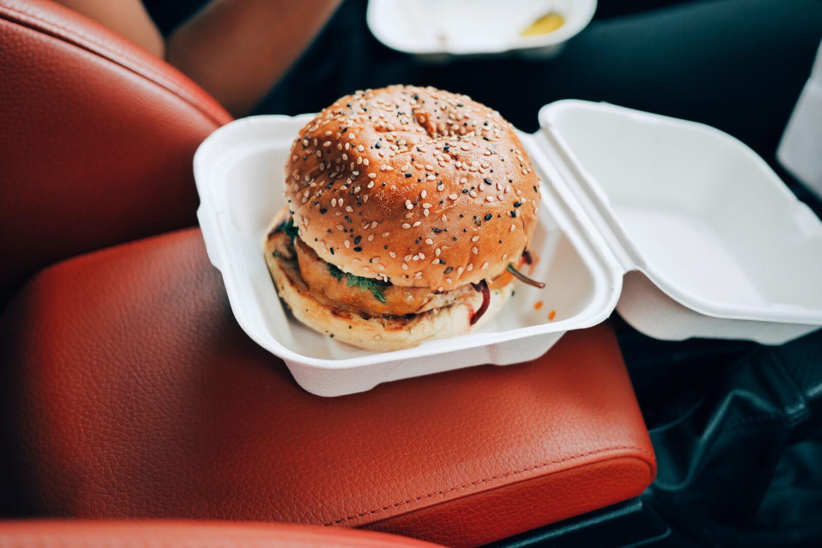 Panasonic Lumix DMC-GM1 sample photo. Burger, fast, food, drive photography