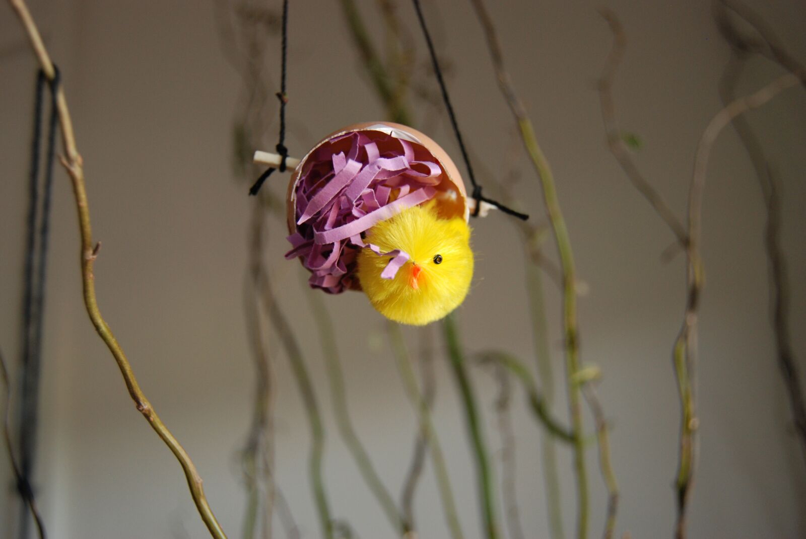 Nikon D80 sample photo. Chicks, easter, easter chick photography