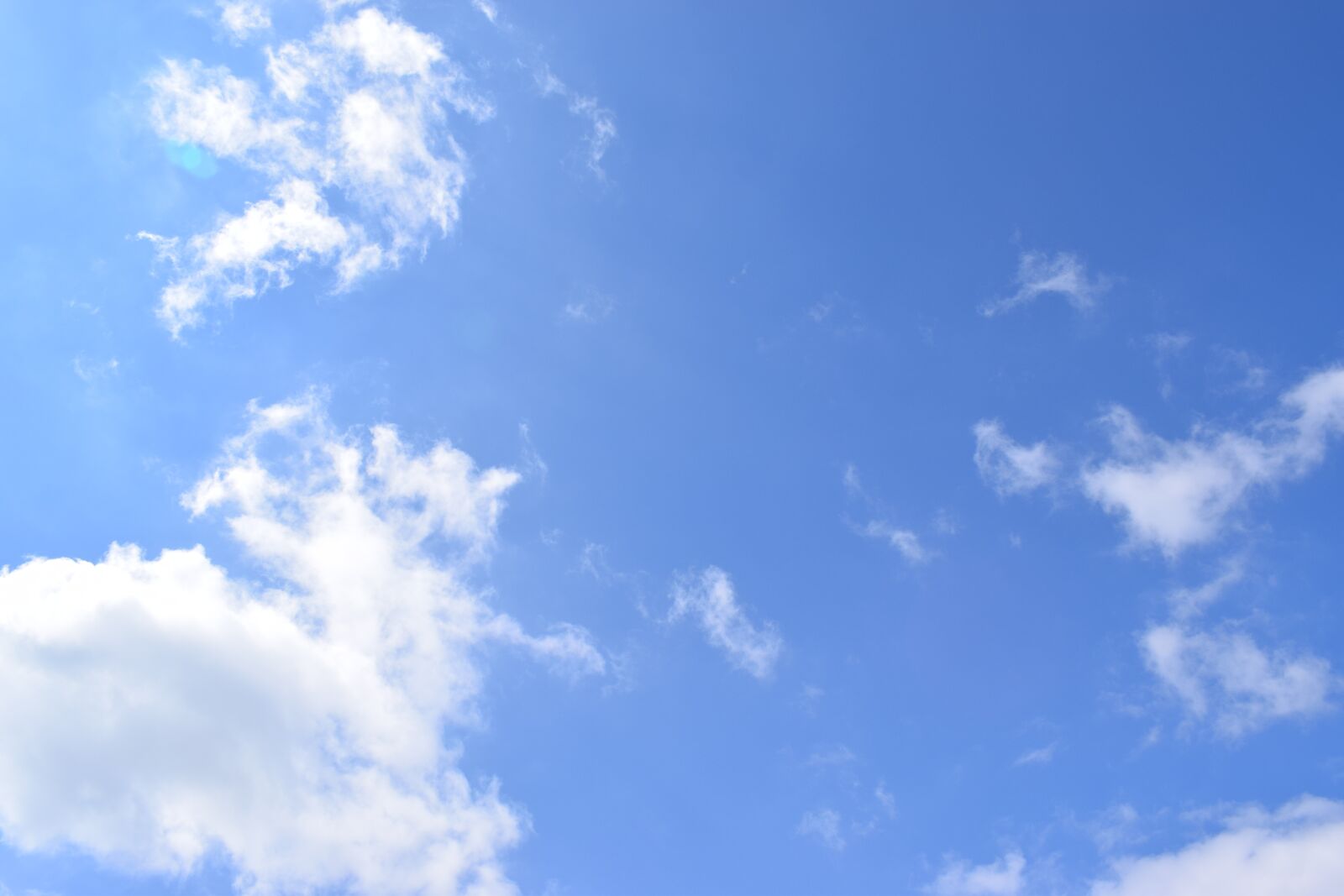 Nikon D3300 sample photo. Nature, summer, beautiful days photography