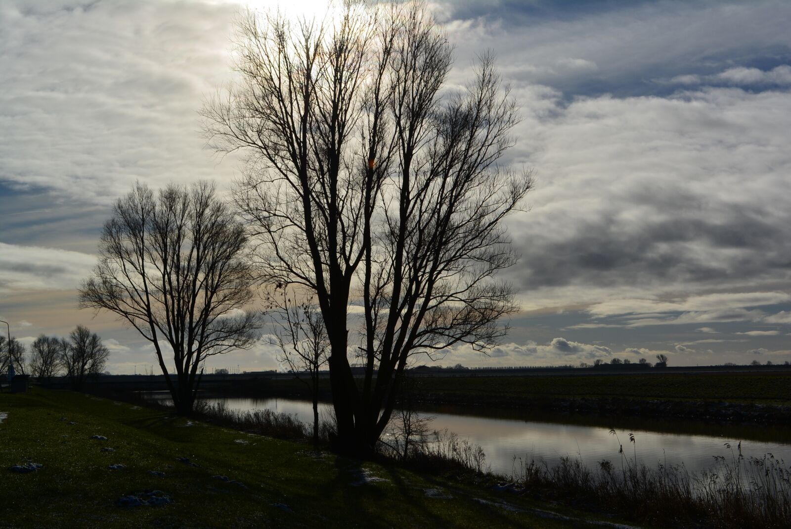 Nikon D5200 sample photo. Nature, tree, panorama photography