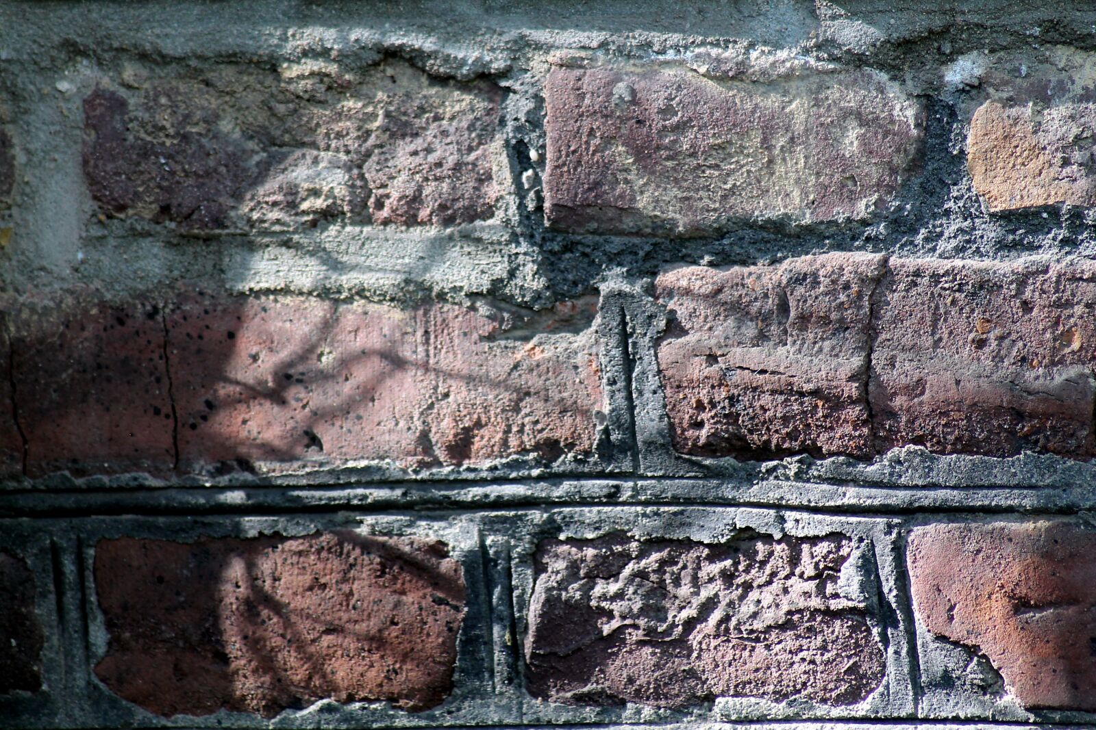 Canon EOS 1100D (EOS Rebel T3 / EOS Kiss X50) sample photo. Wall, structure, background photography