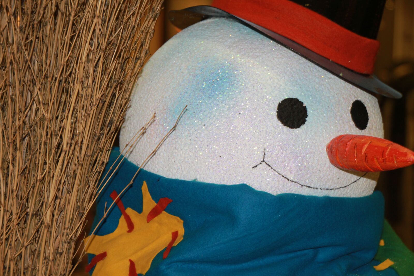 Canon EOS 500D (EOS Rebel T1i / EOS Kiss X3) sample photo. Christmas, carrot, snowman photography