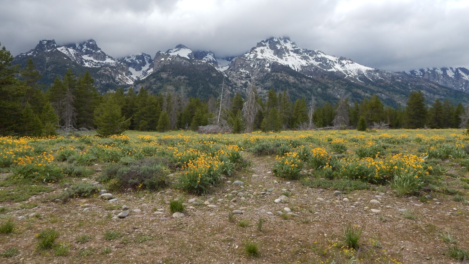 Nikon Coolpix L830 sample photo. Mountains, landscape, tetons photography