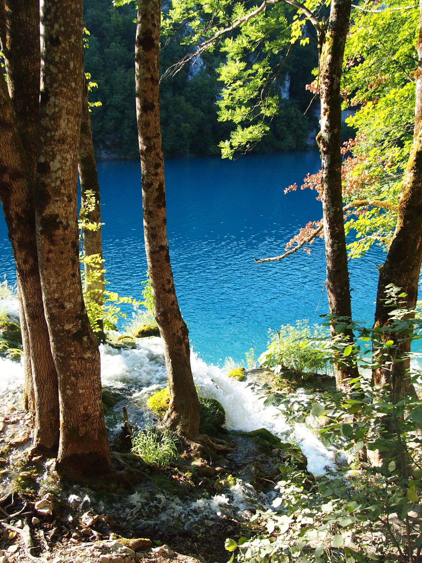 Olympus PEN E-PL6 sample photo. Plitvice lakes, croatia, blue photography