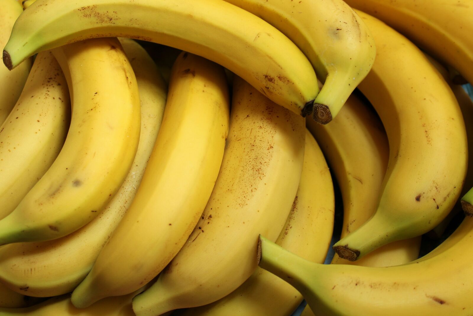 Canon EOS 1200D (EOS Rebel T5 / EOS Kiss X70 / EOS Hi) sample photo. Bananas, fruit, food photography