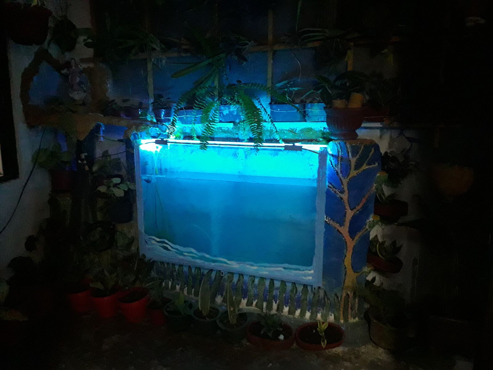 Samsung Galaxy J6 sample photo. Aquarium, fish, light photography