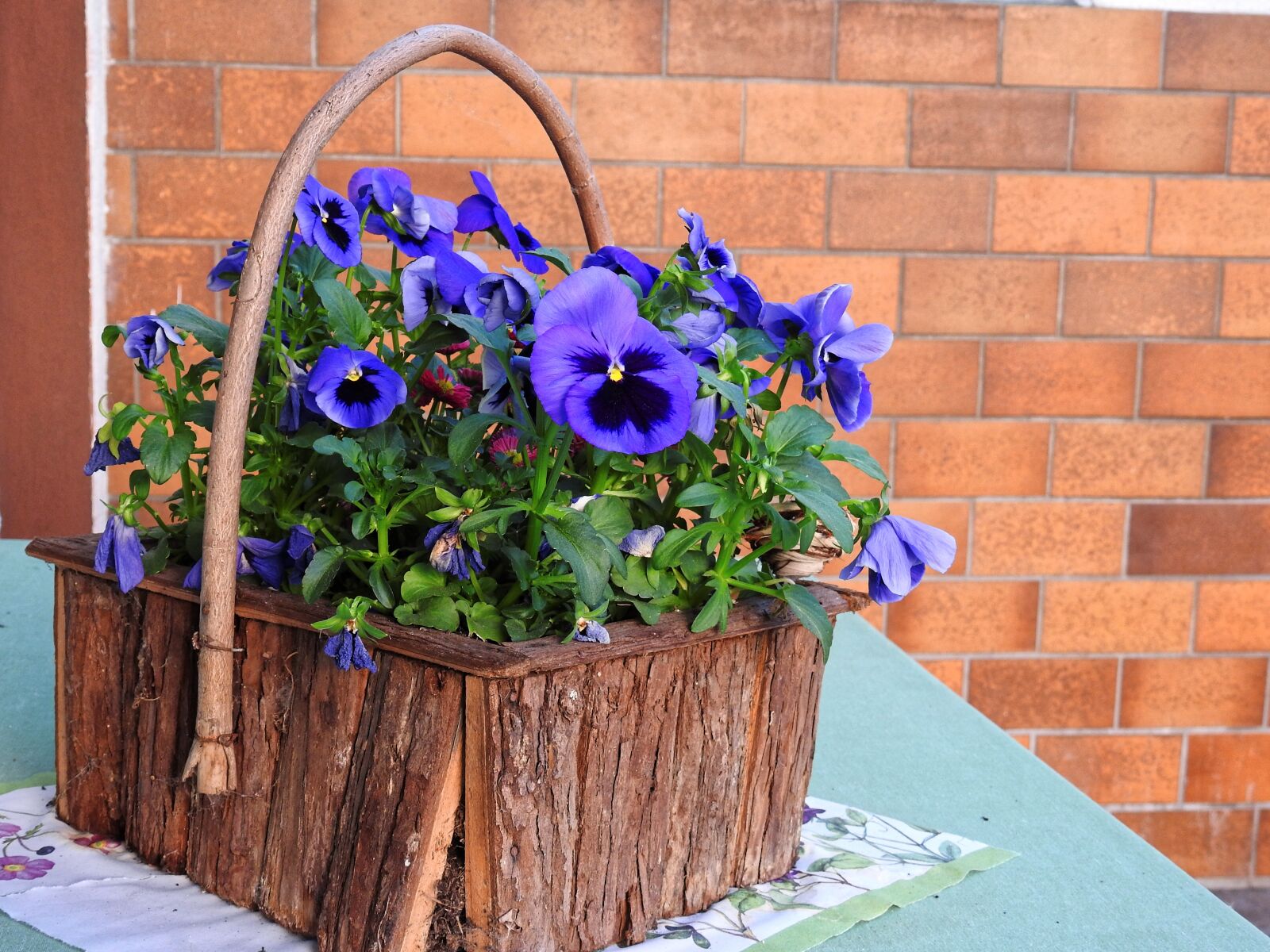 Nikon Coolpix P900 sample photo. Decoration, deco, flower photography
