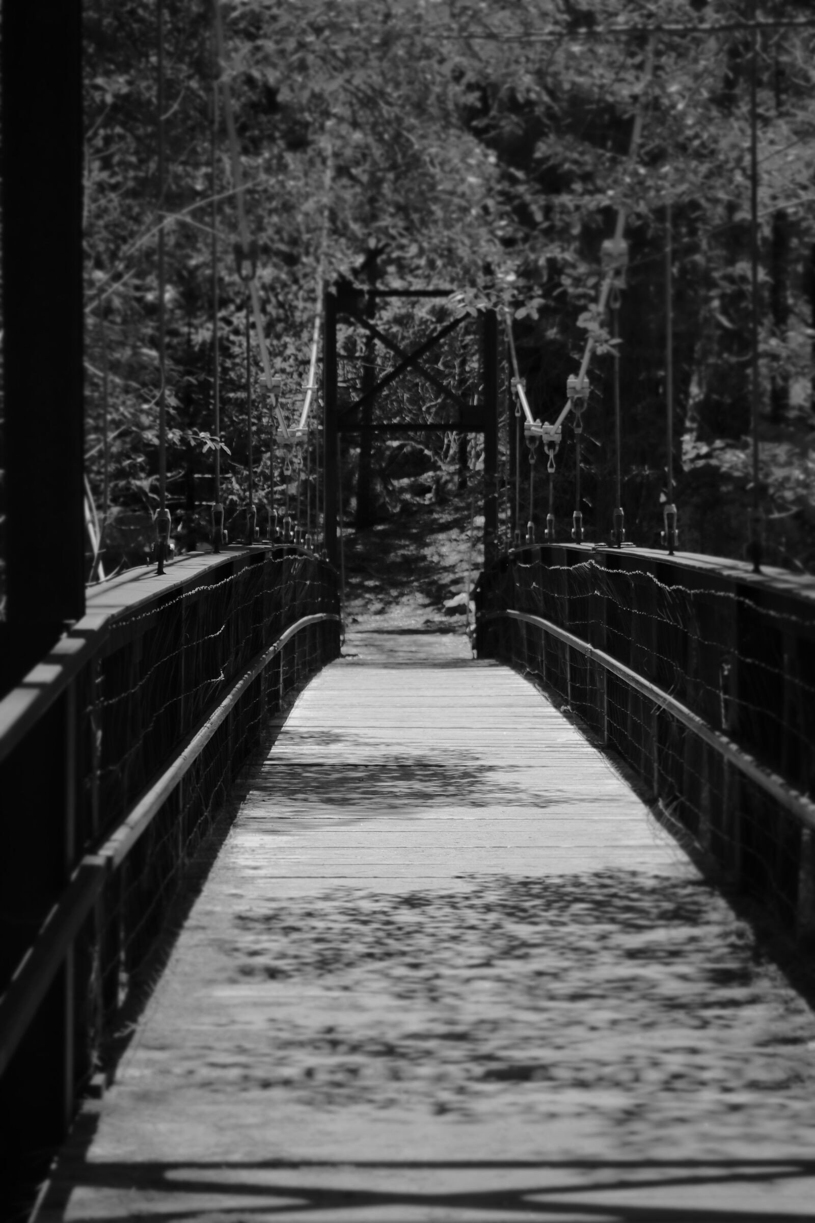 Canon EOS 750D (EOS Rebel T6i / EOS Kiss X8i) sample photo. Nature, outdoor, adventure photography