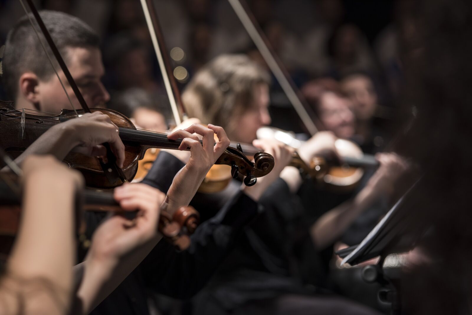 Nikon D810 sample photo. Classical music, concert, macro photography