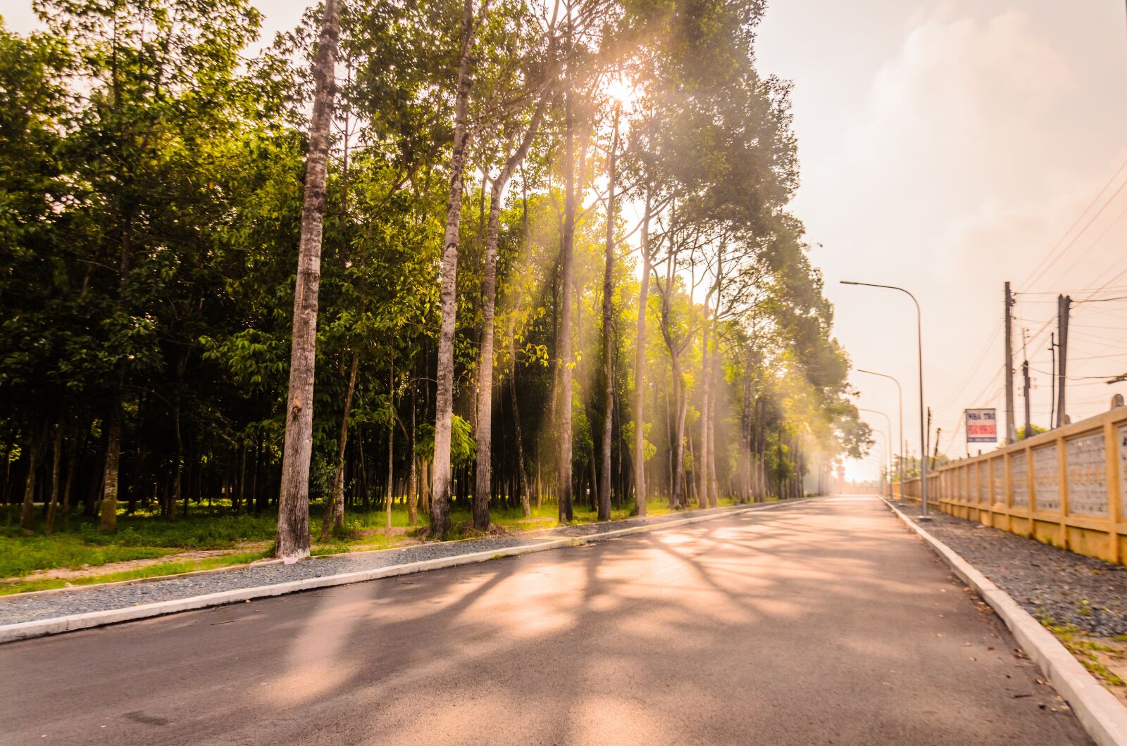 Nikon D5100 sample photo. Road, light, dawn photography