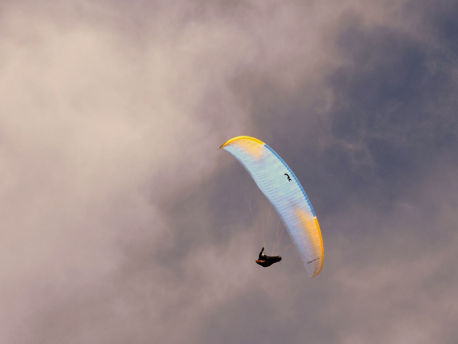 Nikon Coolpix P600 sample photo. Fly, paragliding, parachute photography