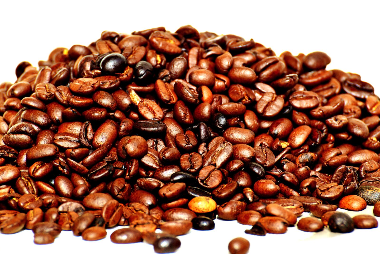 Nikon D3200 sample photo. Coffee, coffee beans, cafe photography