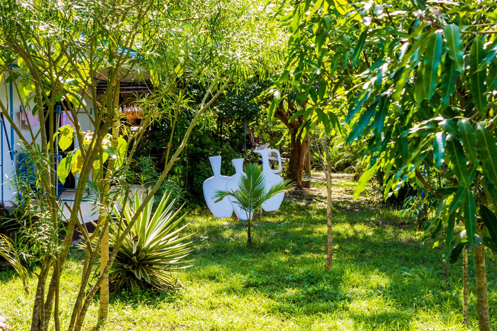 Nikon D5200 sample photo. Garden, nature, horticulture photography