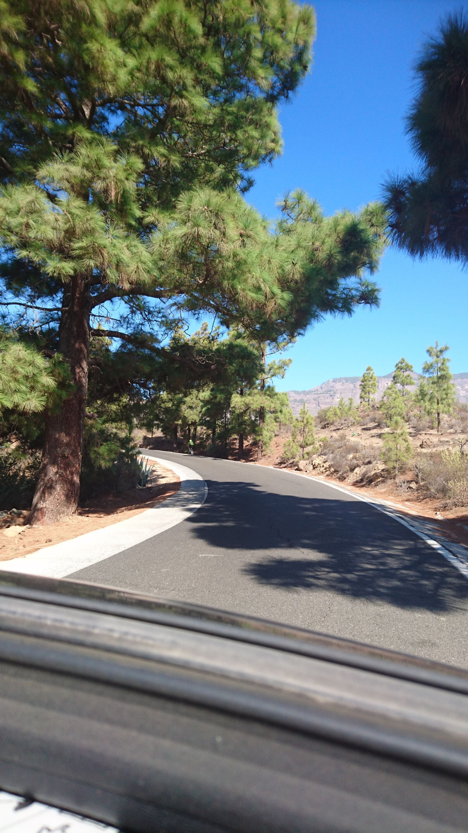 Sony Xperia Z5 sample photo. Road, landscape, forest photography