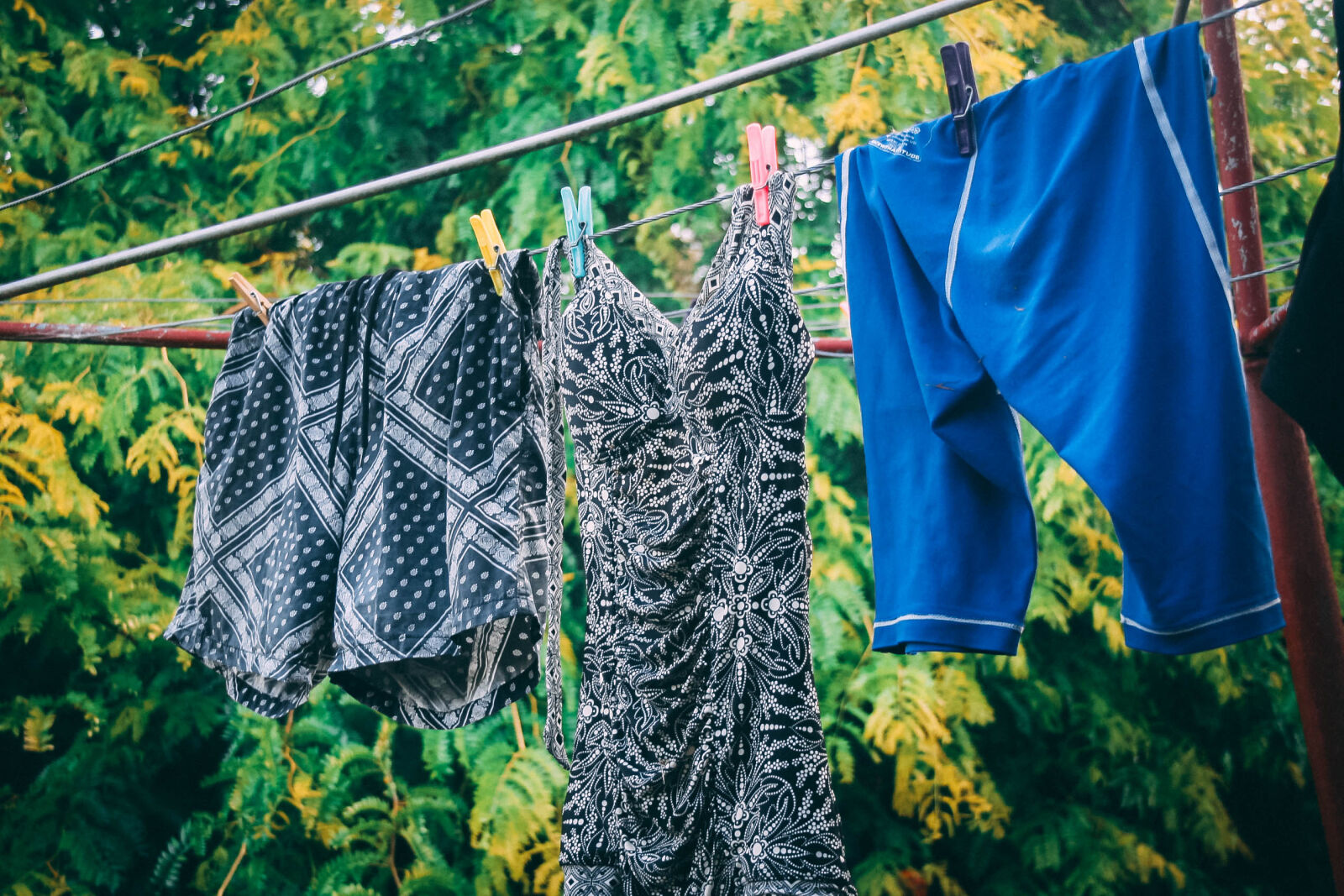 Canon EOS 20D sample photo. Clothes, drying, leaves, pegs photography
