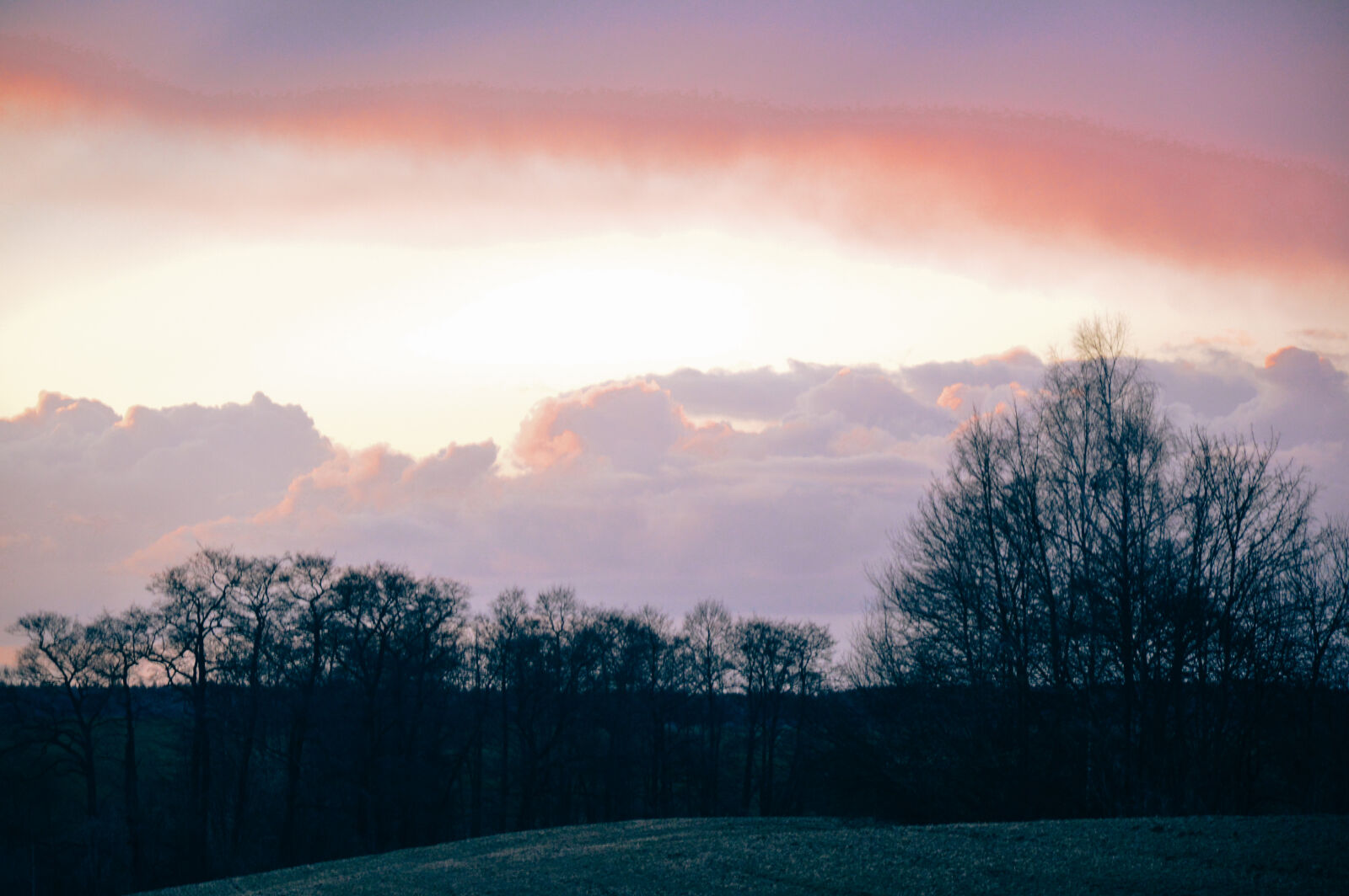 Nikon D3200 sample photo