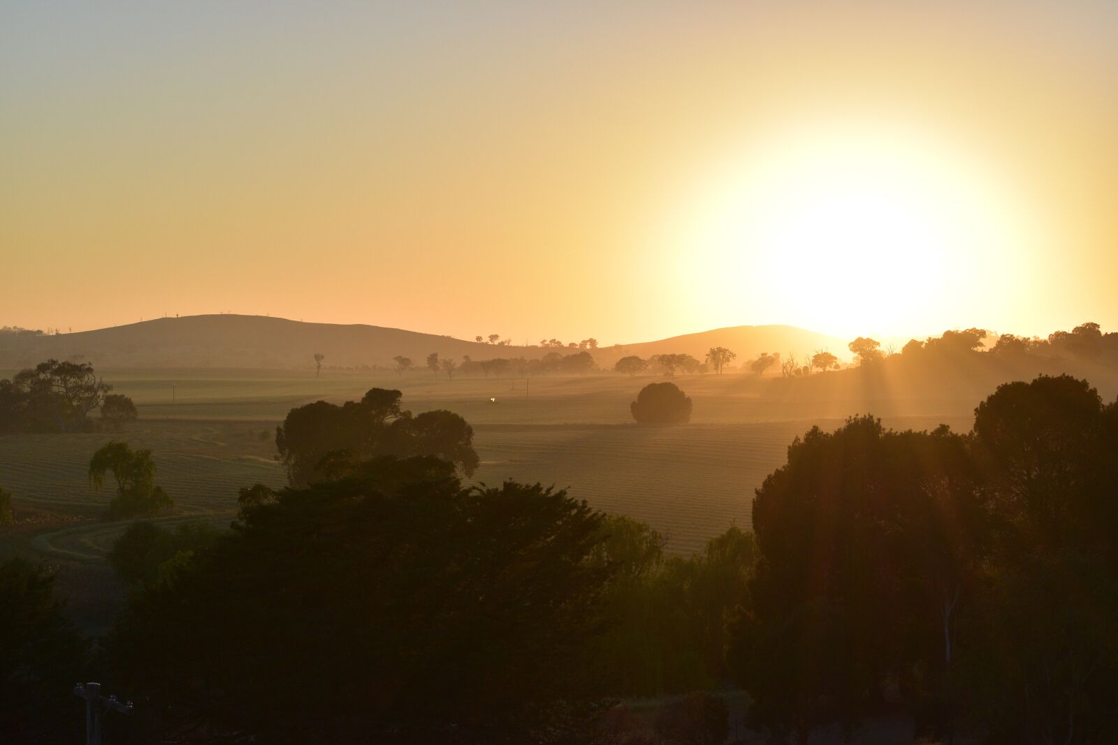 Nikon D5600 sample photo. Sunrise, silhouette, morning photography