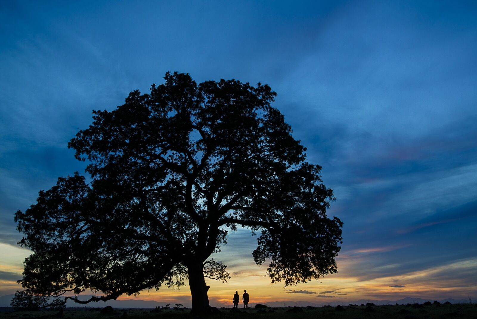 Canon EOS 5D Mark III sample photo. Tree, people, silhouettes photography