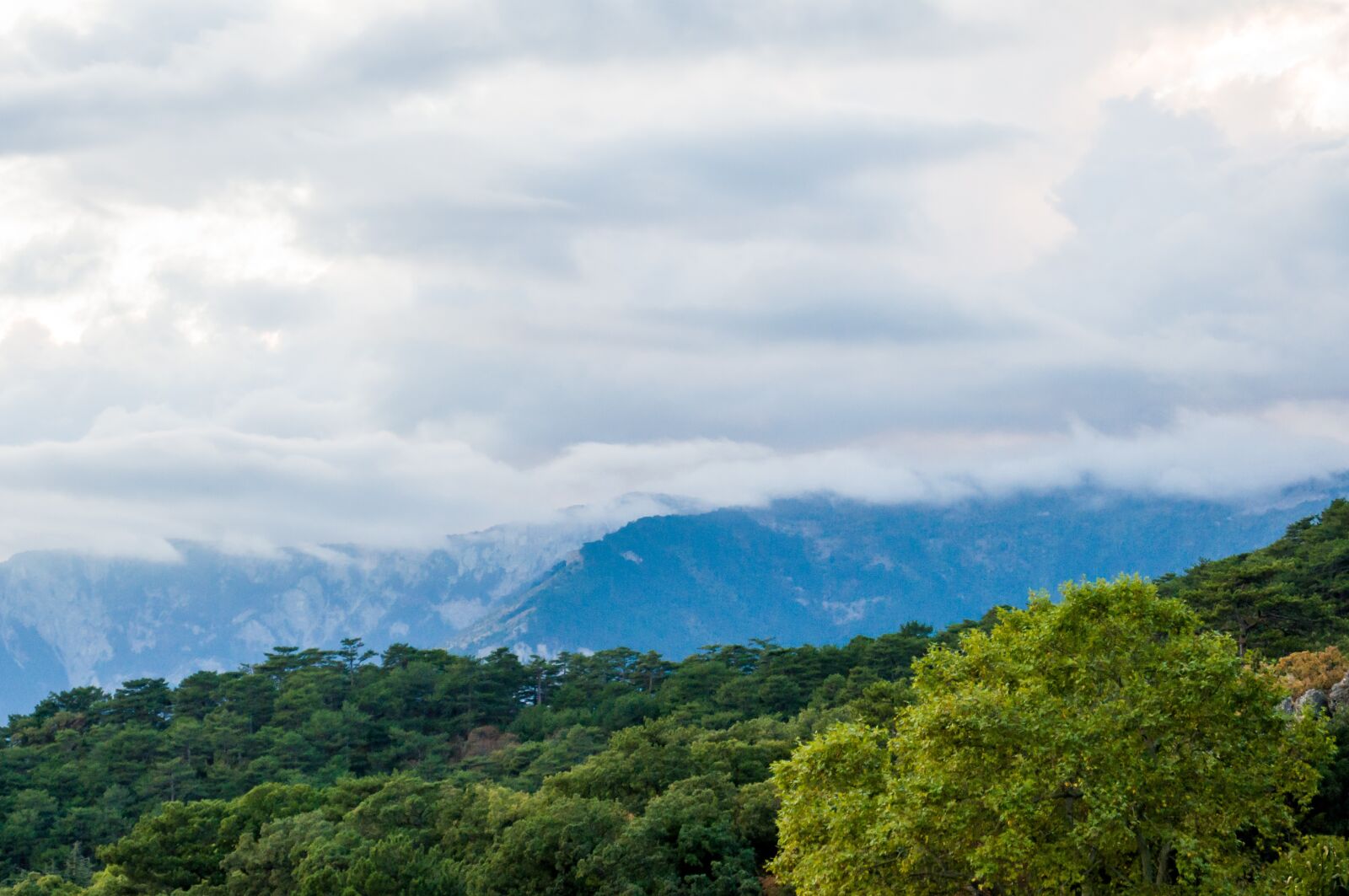 Nikon D90 sample photo. Summer, mountains, fog photography
