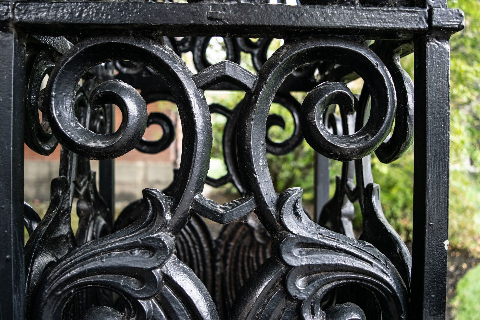 Nikon D3300 sample photo. Iron, fence, metal photography